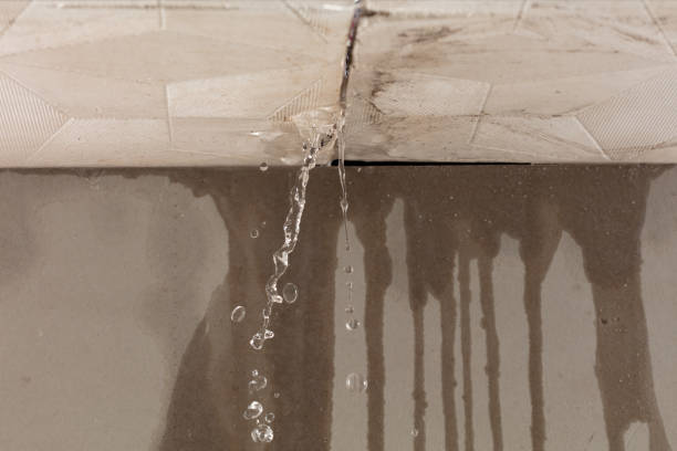 Professional Structural Drying technician working in Denville, NJ